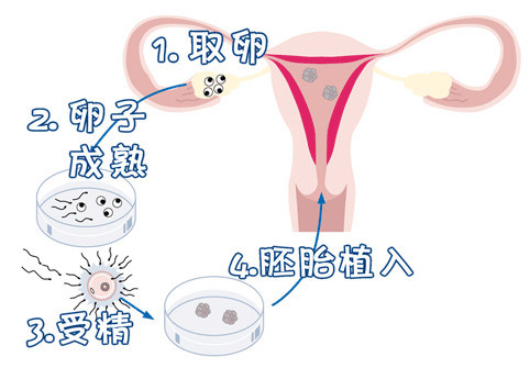刘阳旭主任
